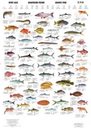 Ryby Azji