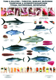 Tuna and billfish